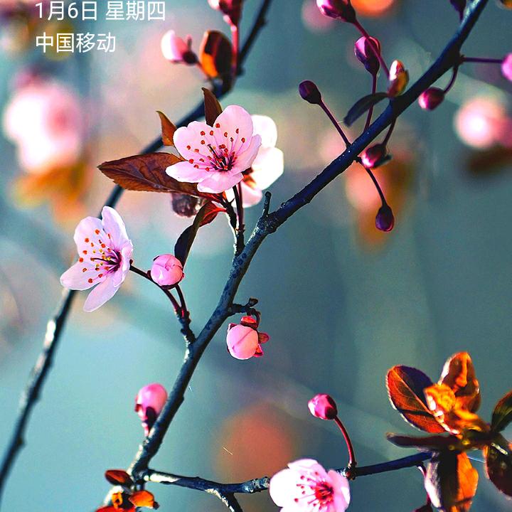 为爱而生