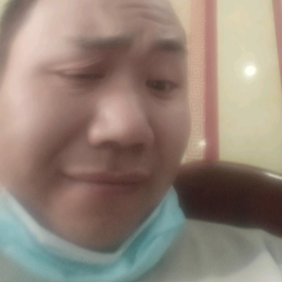 杨歌