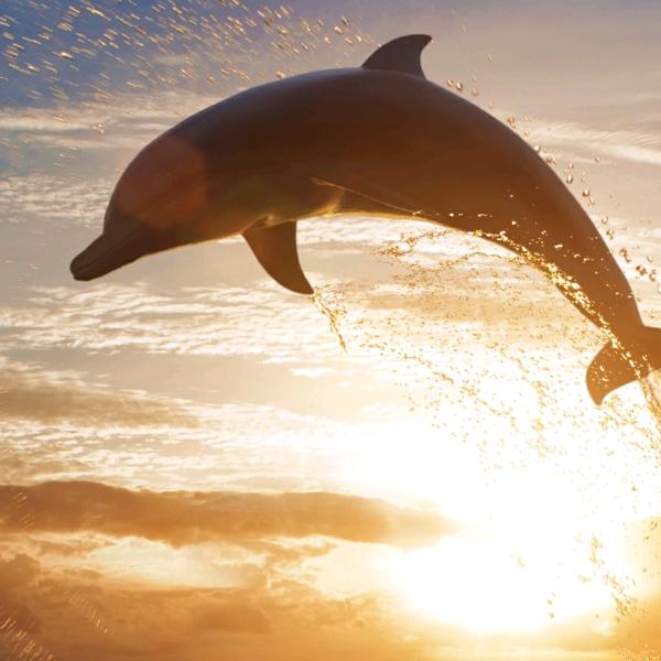 用户4343930473257简单简单