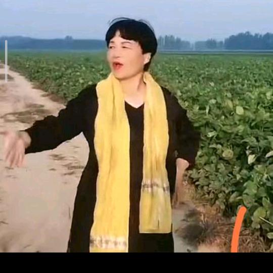 农村吴姐不定时可播