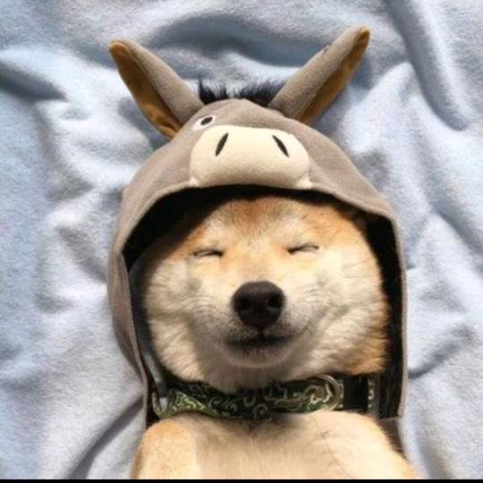 四月