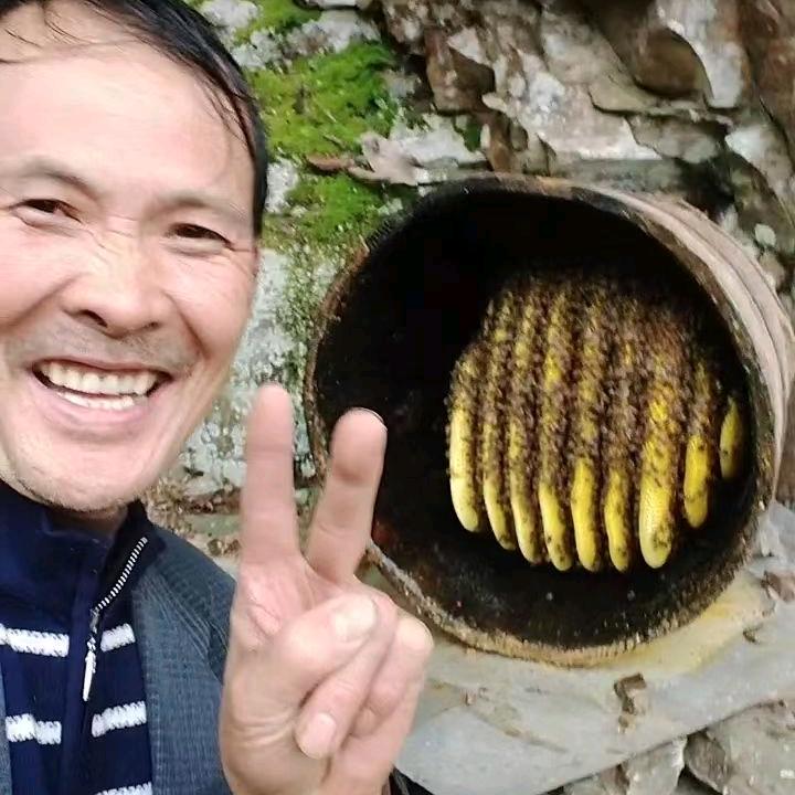 野蜂大王