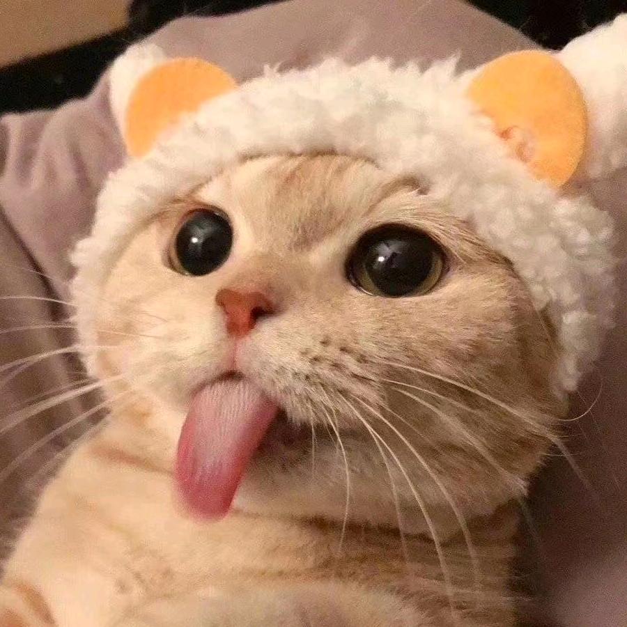 叫我哈哈哈