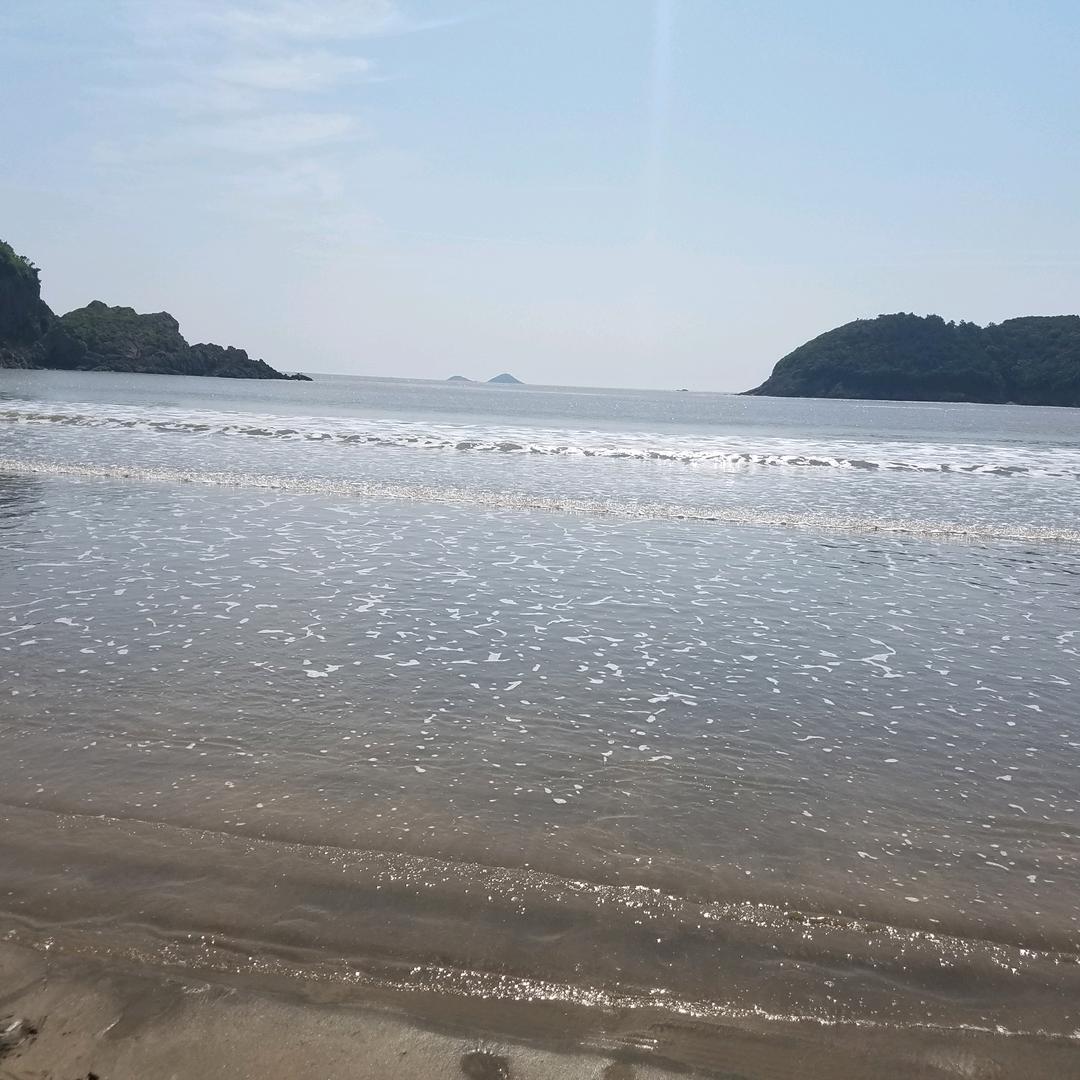 忠心耿耿