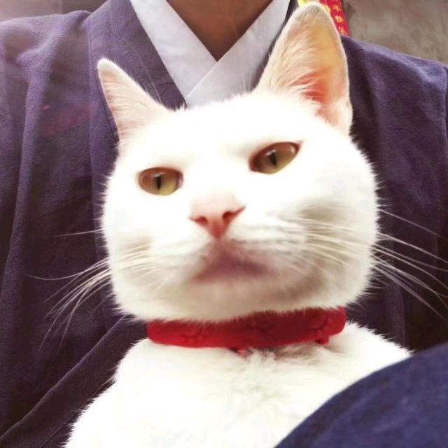 硬核改造
