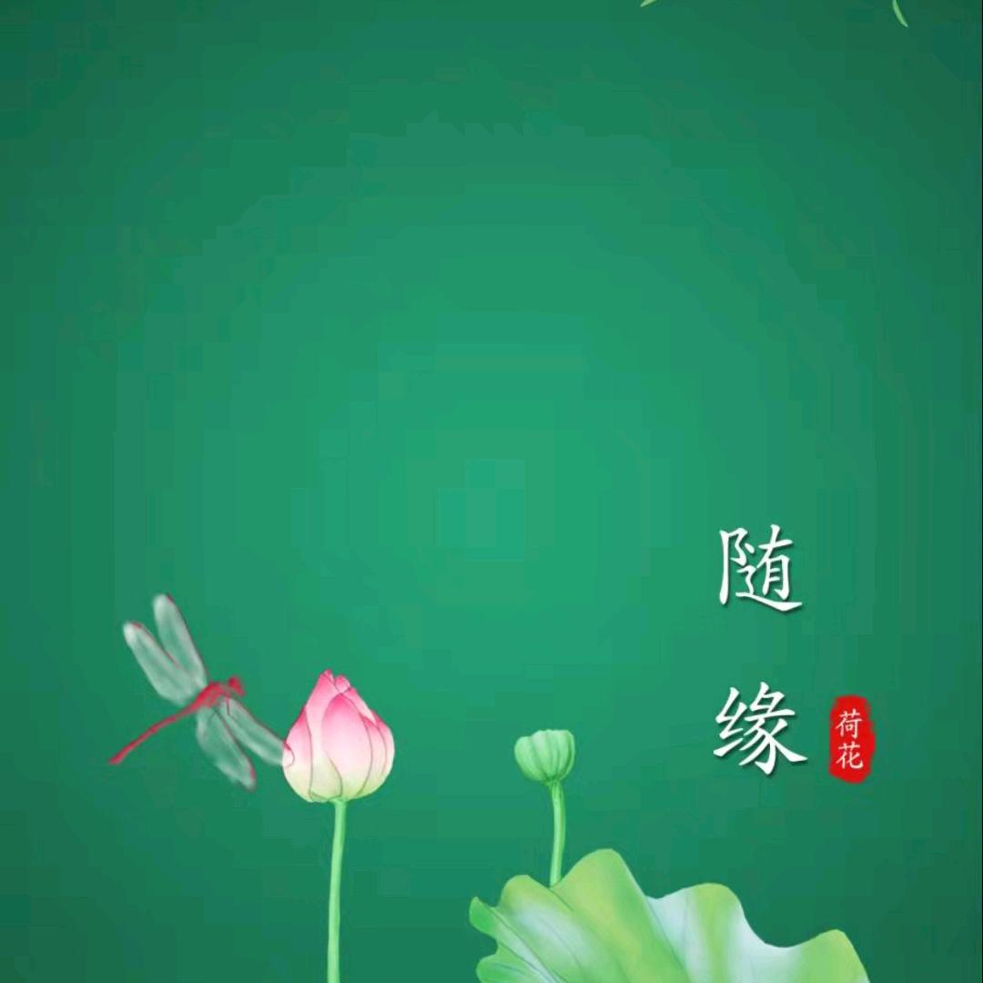 风景依旧