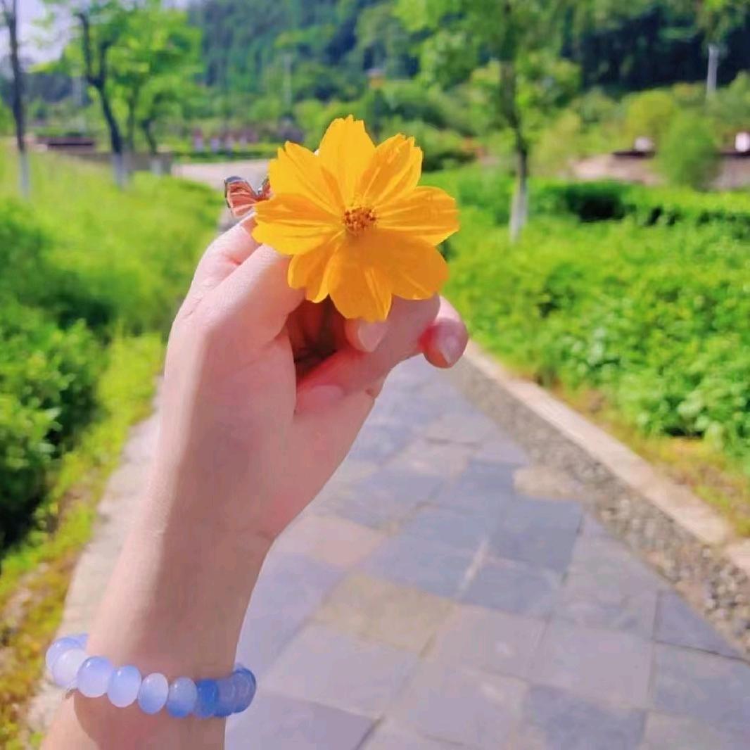 温柔藏匿于ᥫᩣ