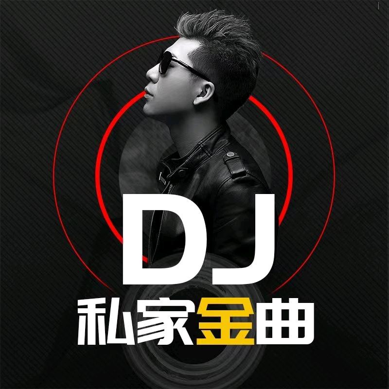 店铺可下单(车载劲爆DJ)音乐