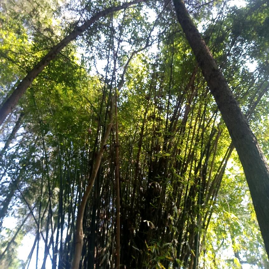 攒一口袋星星💫