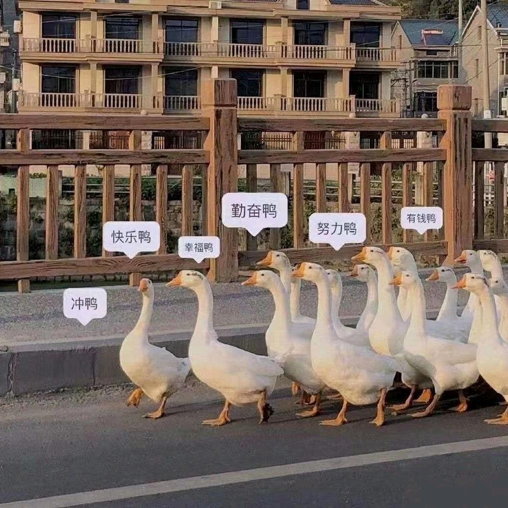 周至终南头道汤