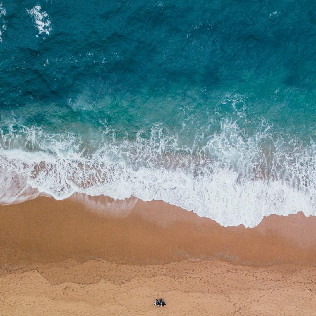 海
