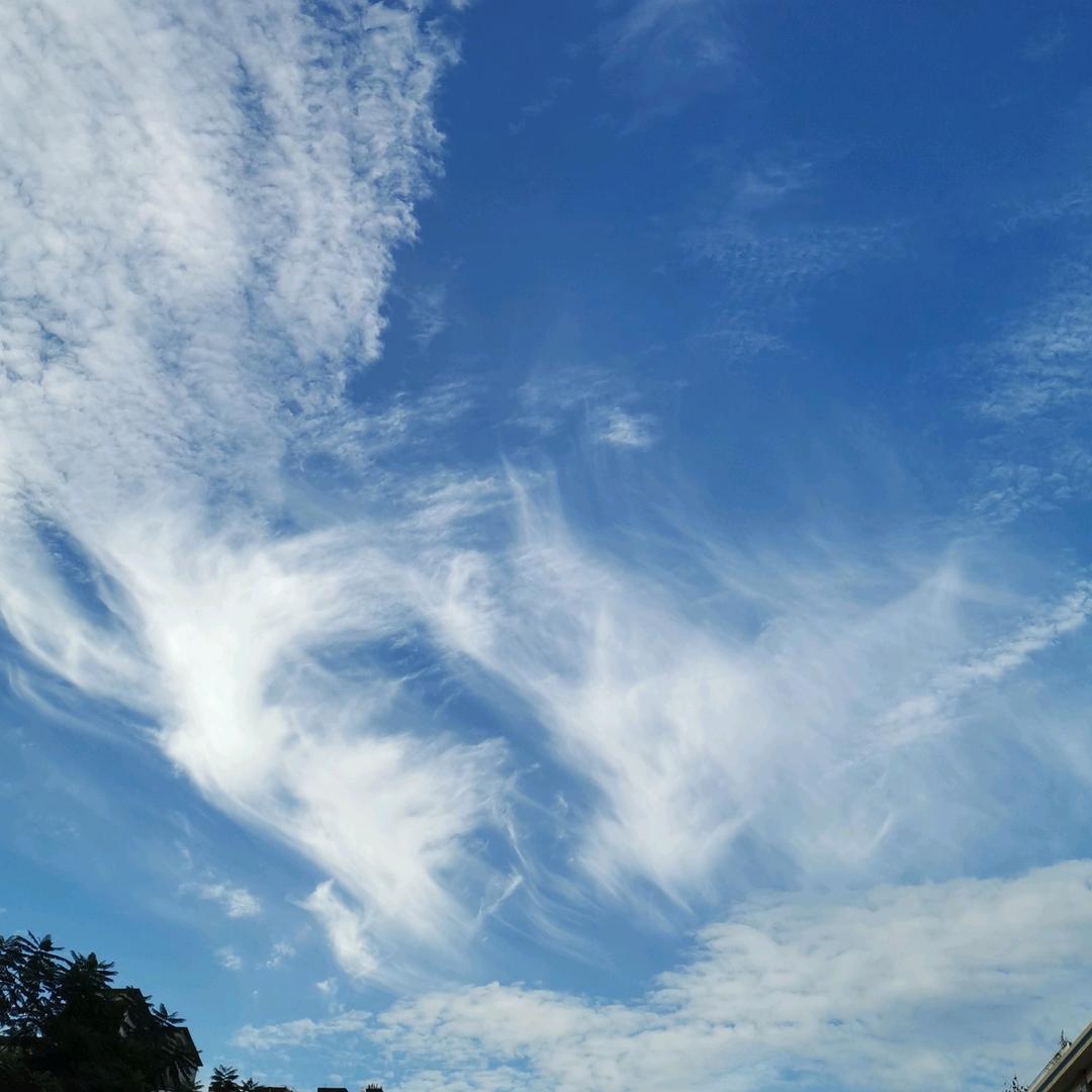 火山大叔