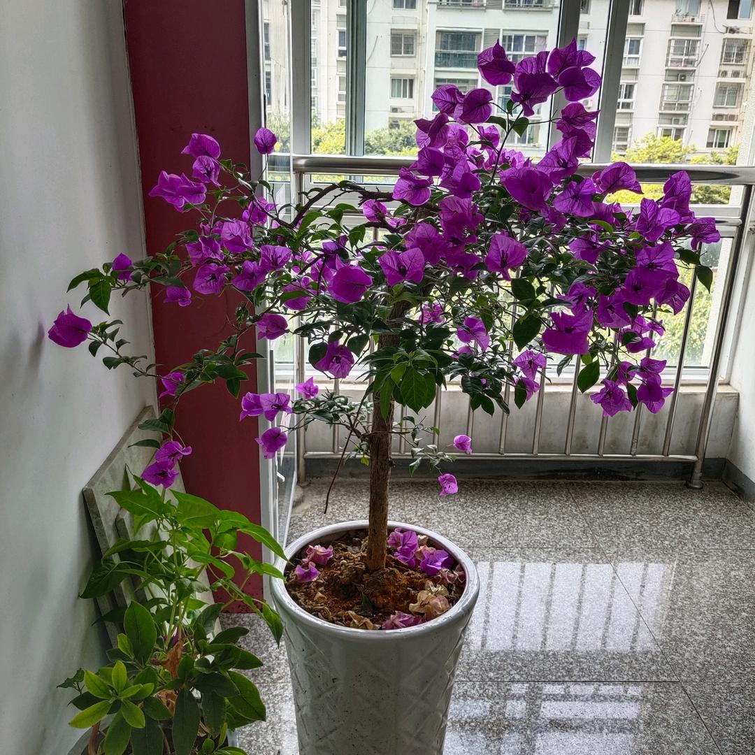 滨…
