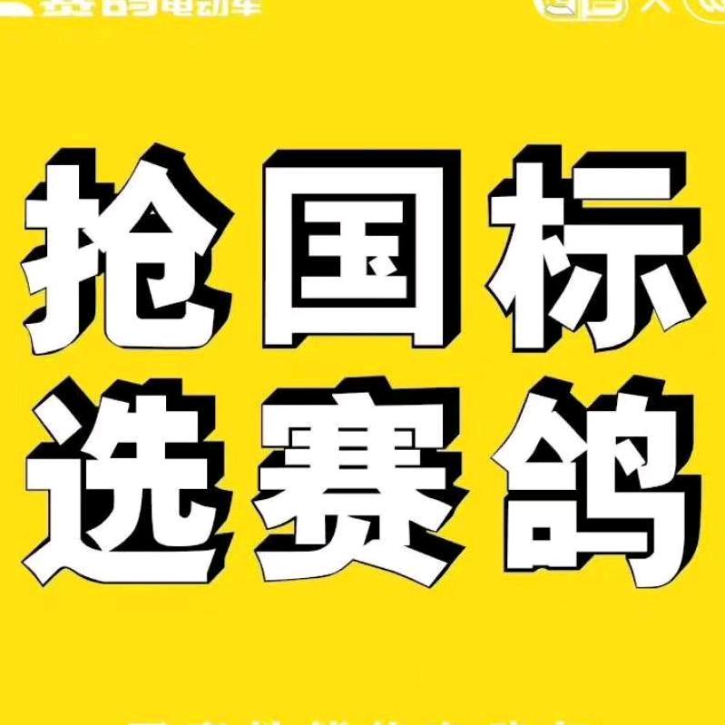 高平赛鸽