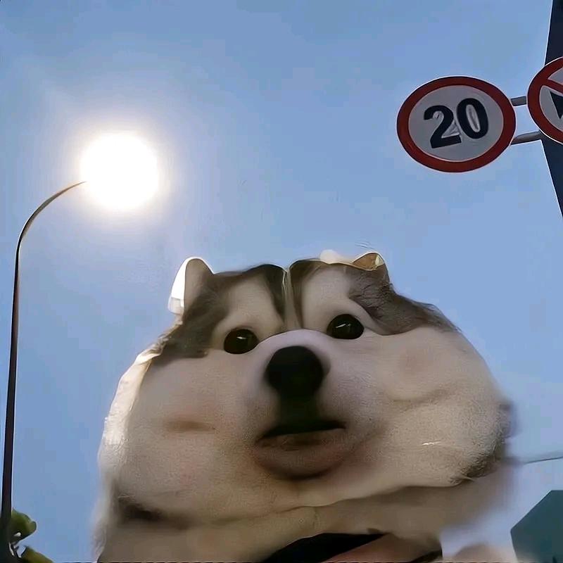 张大文