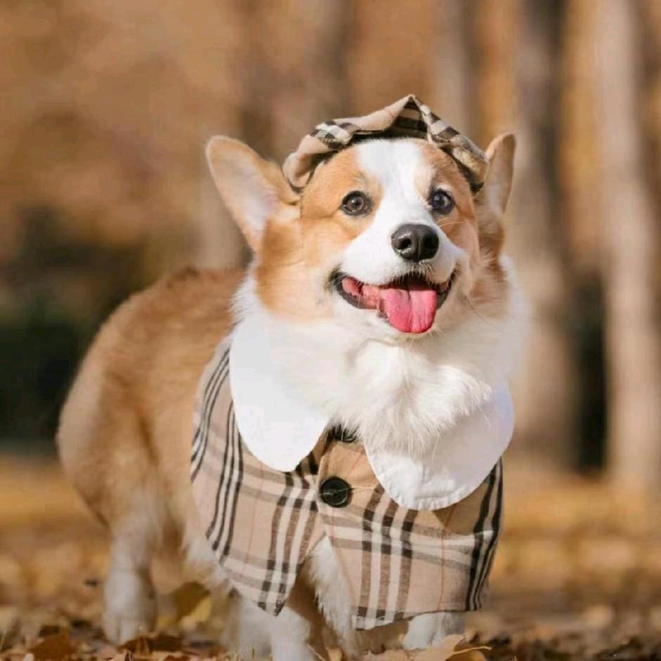 Not  Angry ¹⁰⁰³