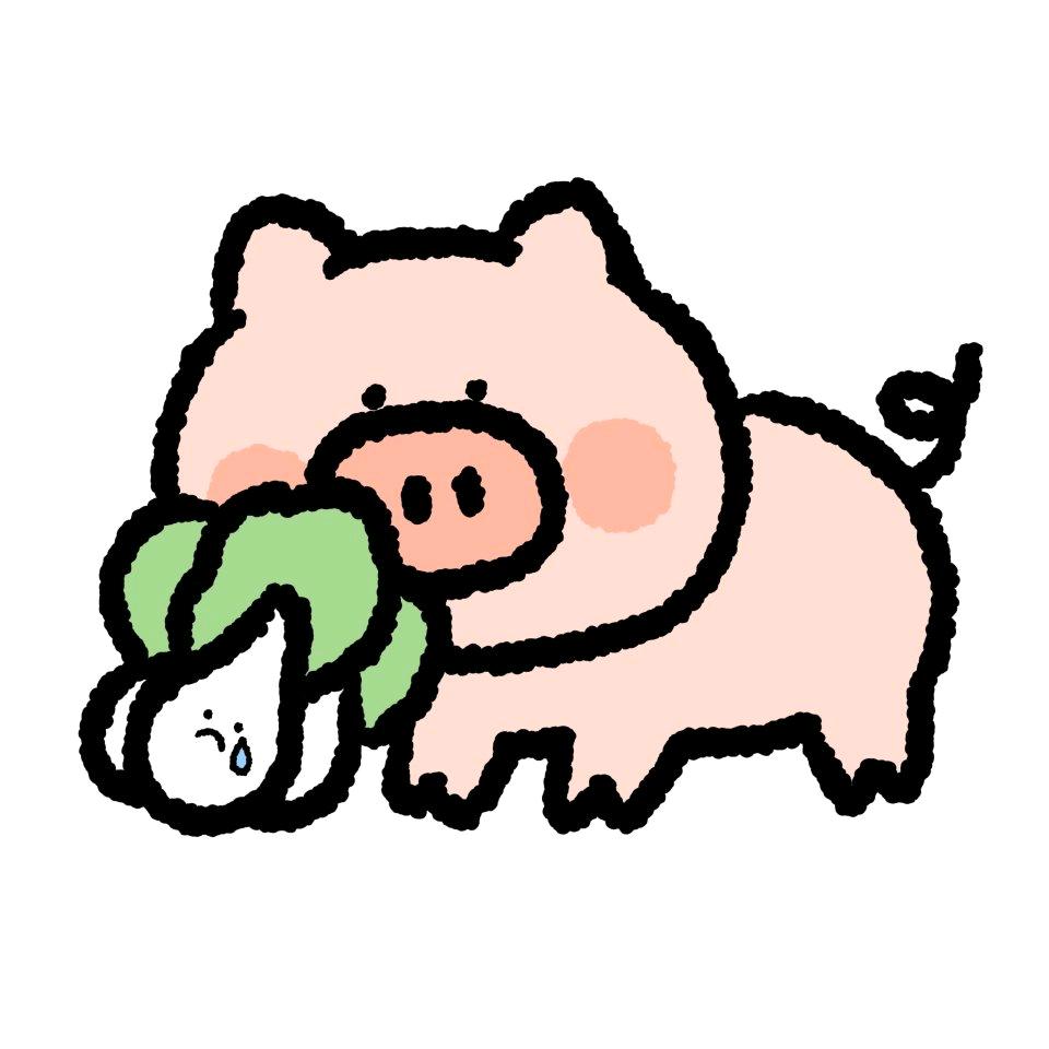 瑞Wim