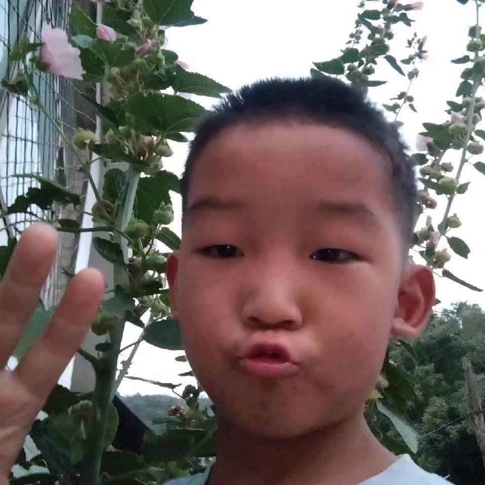 冬天的小草