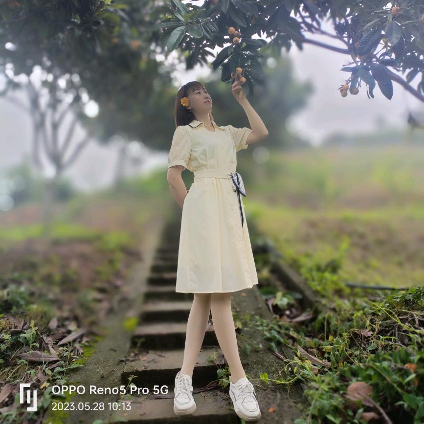 虫儿飞