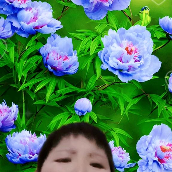 林姐