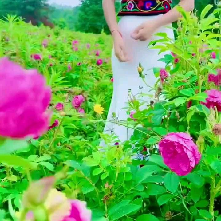 群隆县王华按摩中心