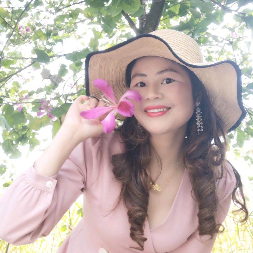🌺美美哒🌺