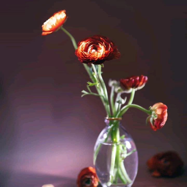 王其花