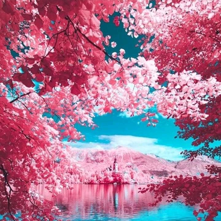 芊芊