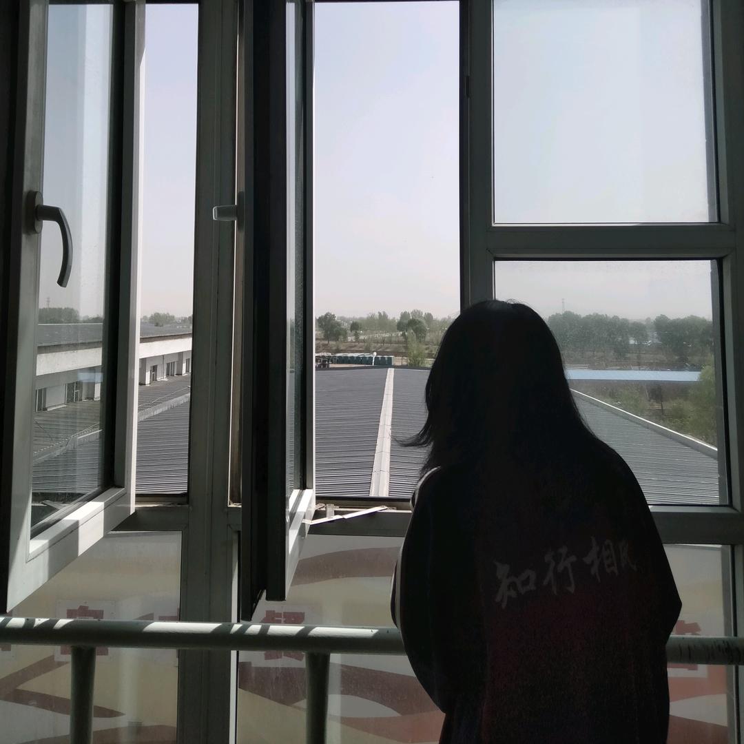彤崽