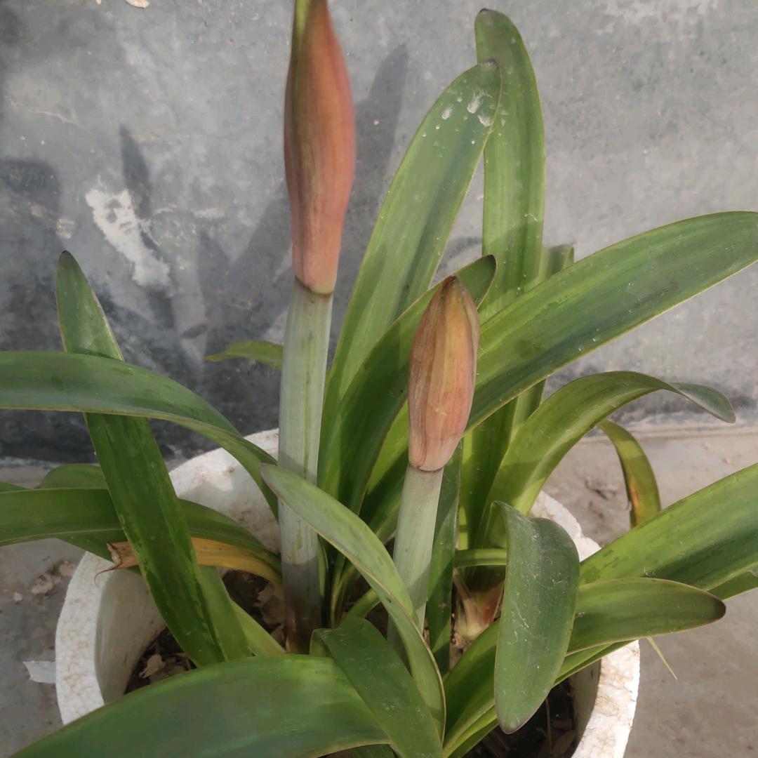 <$ÿĀ>哆啦A梦<$ÿĀ>