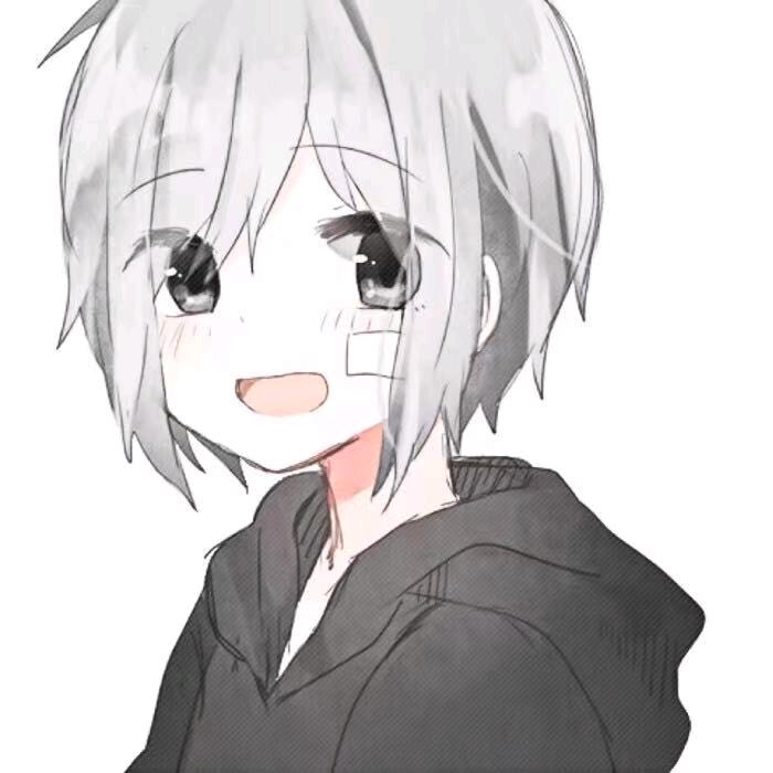 梦幻z