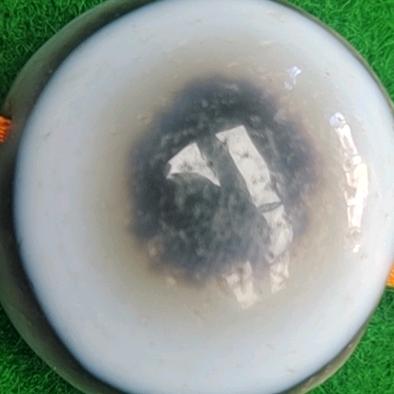 ༈རྨེ་རྟ  DZ