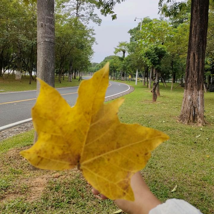 苏格拉底到底有没有底