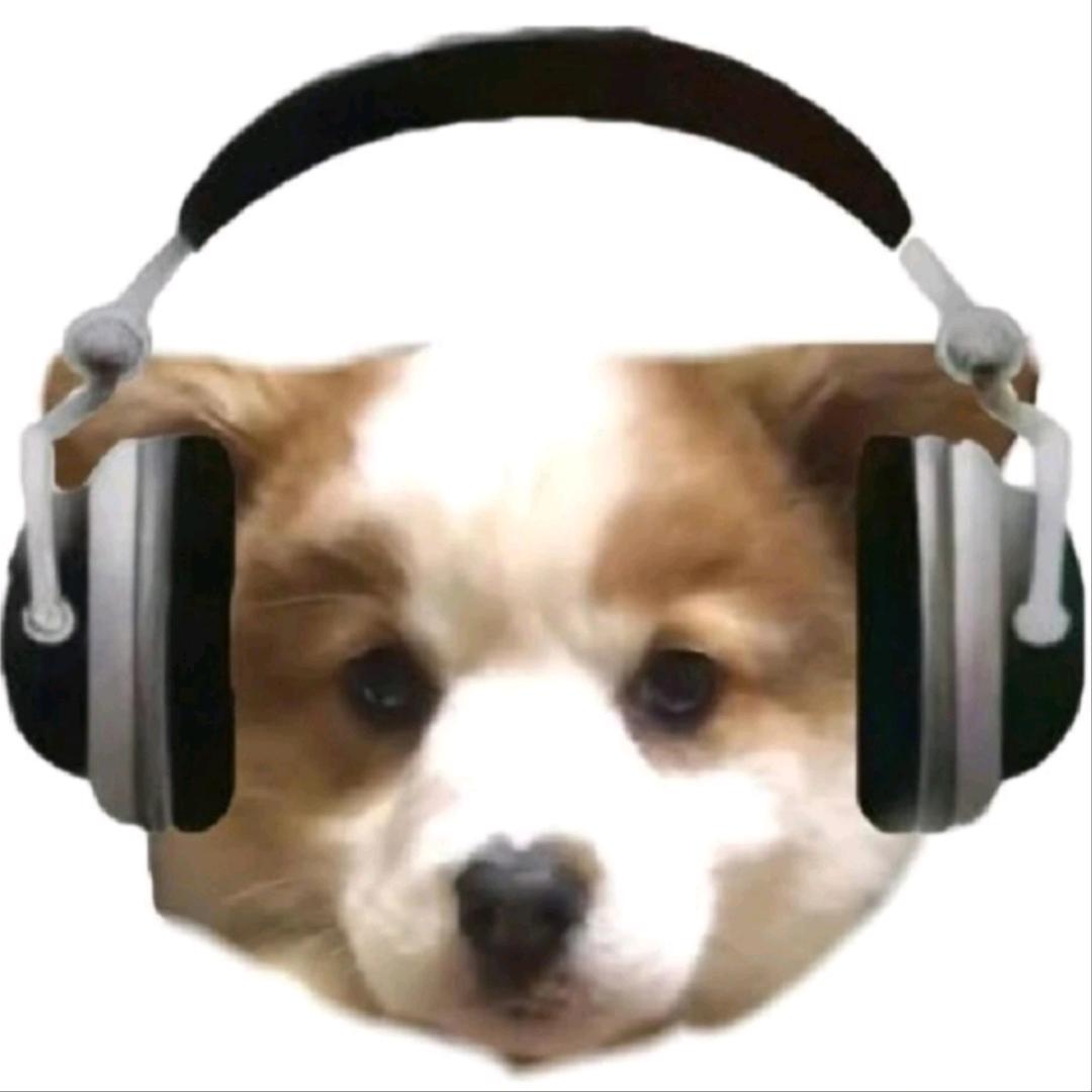 Zouyx