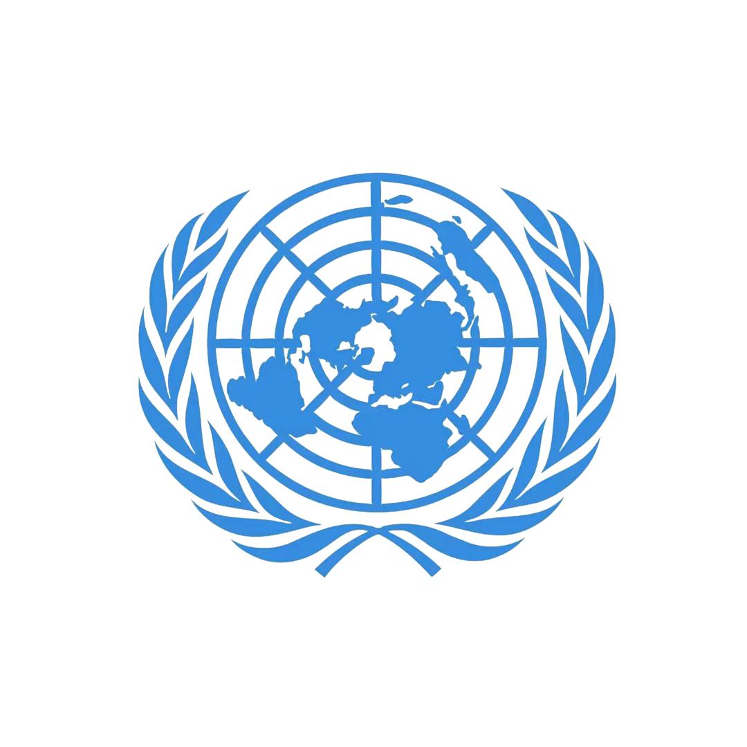 UN🇺🇳维和🇨🇳