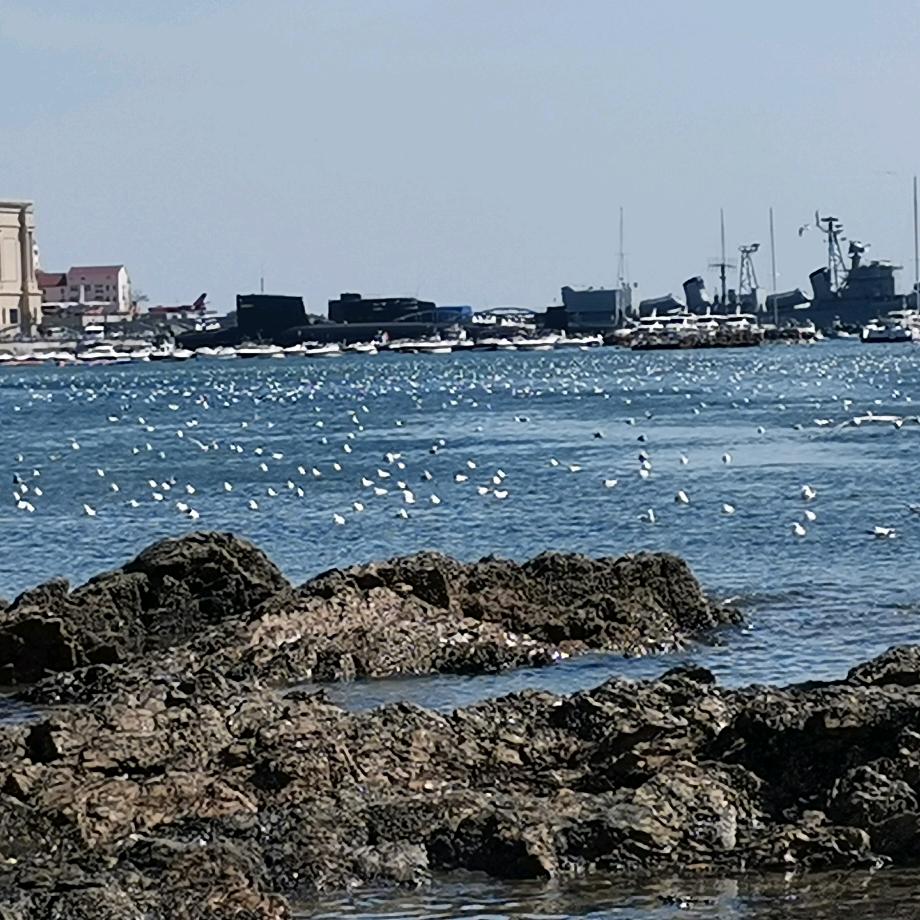 《淡墨》