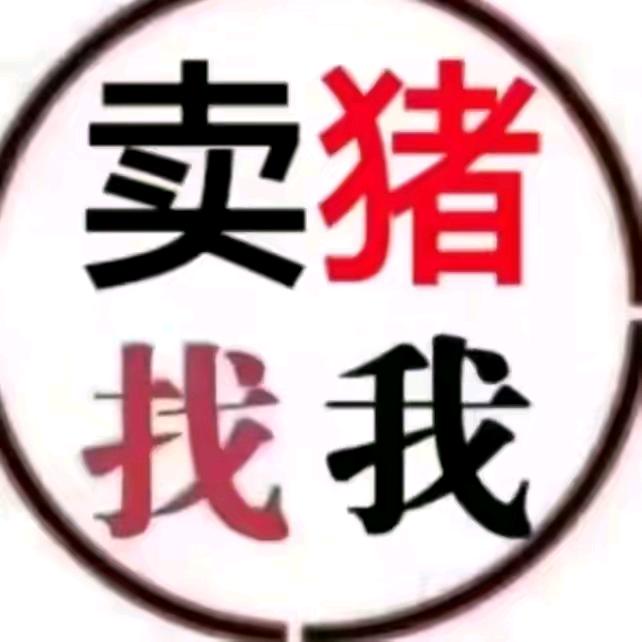 常年收购大猪带宰批发