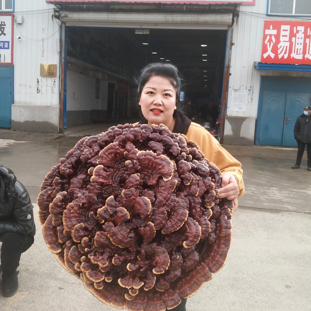 长白山微姐特产