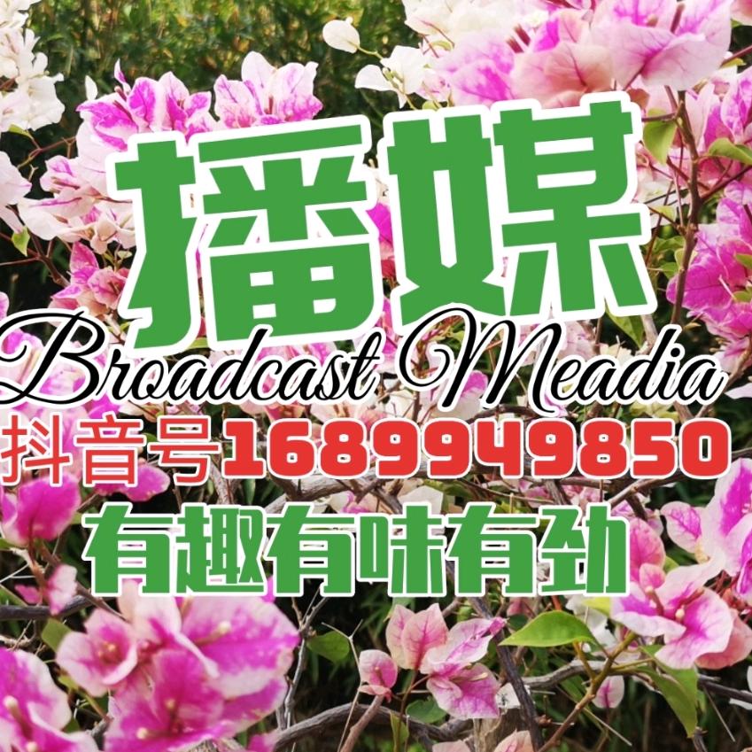 播媒