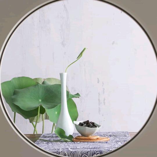 荷花开满屋香