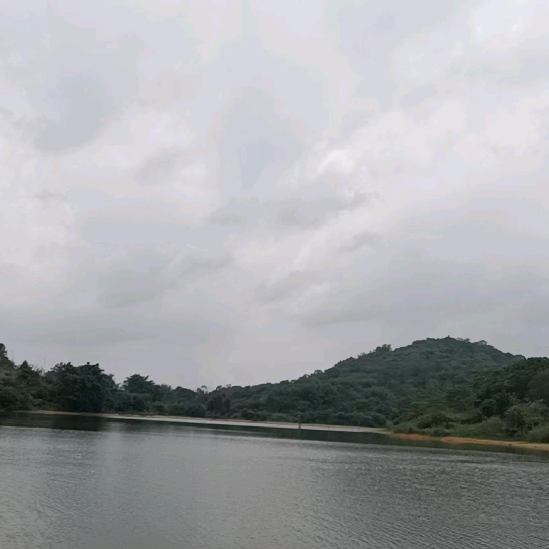 珠珠姐