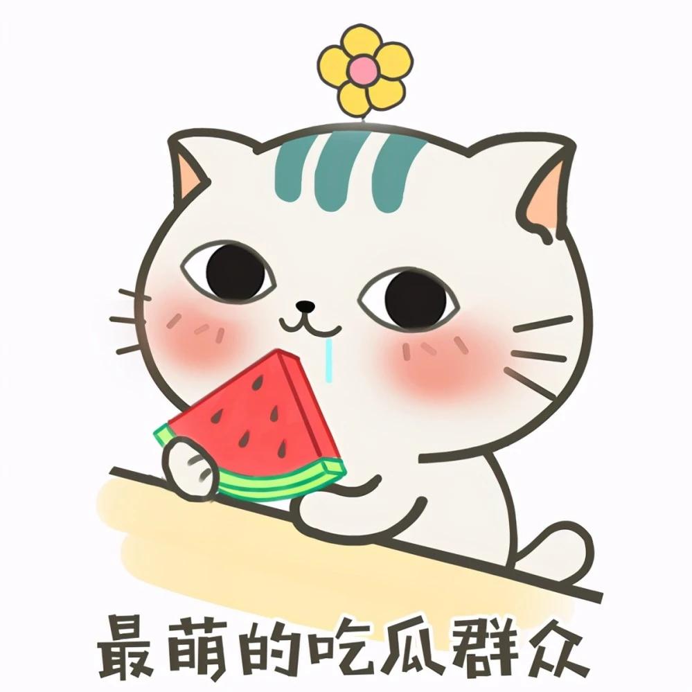 爱豆瓜酱