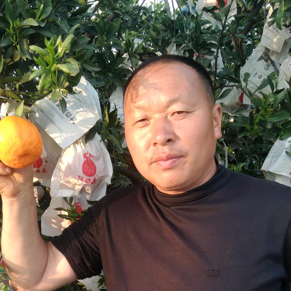 死鱼子