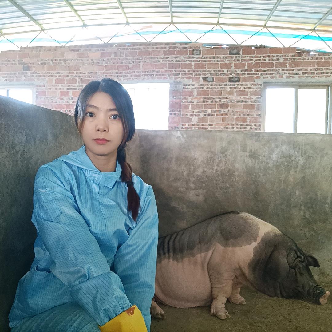 猪姑娘
