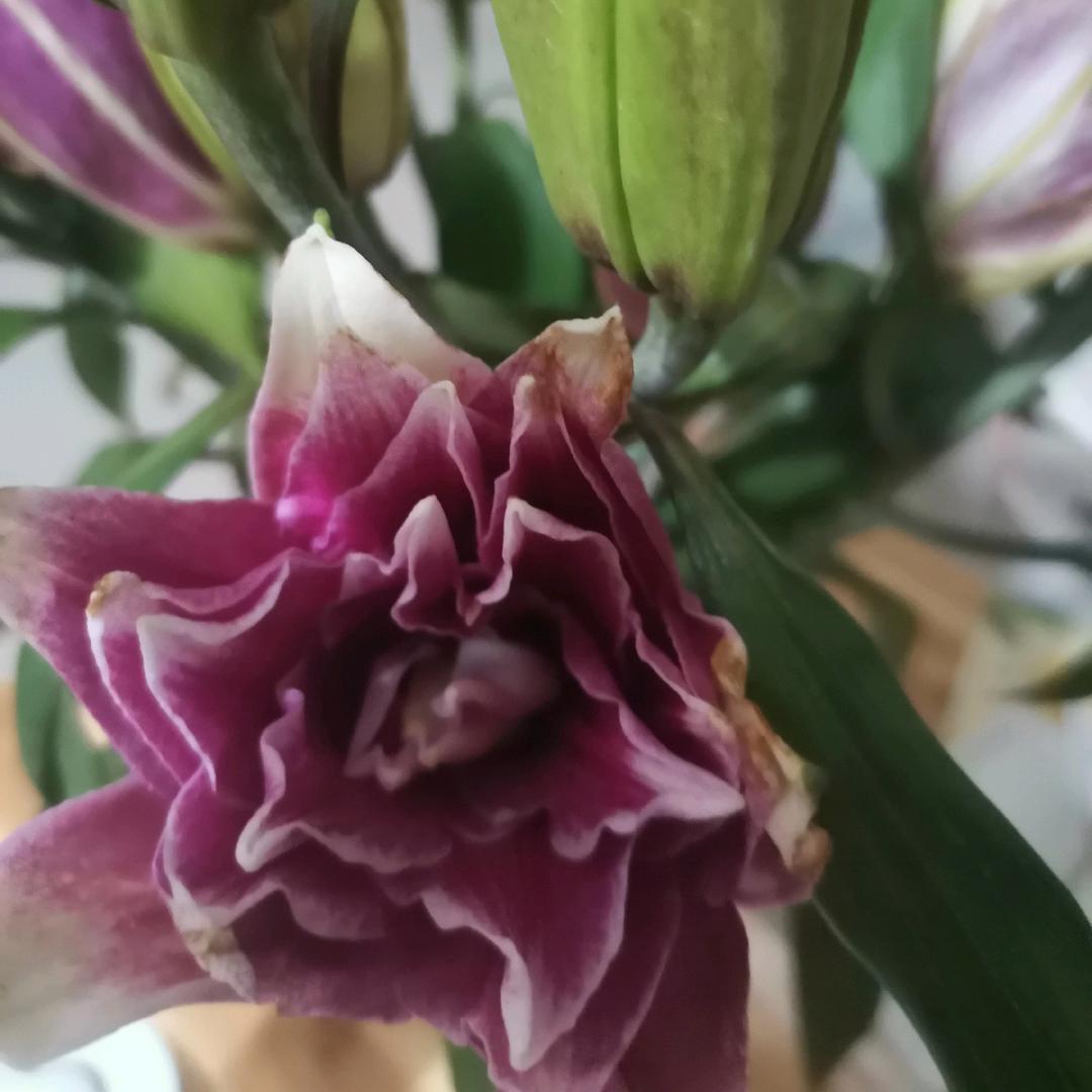 没有理想，何必远方。