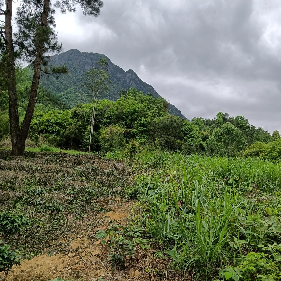 志：：：：：❗❗