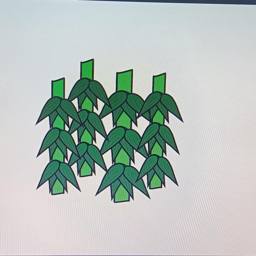 凯普敦