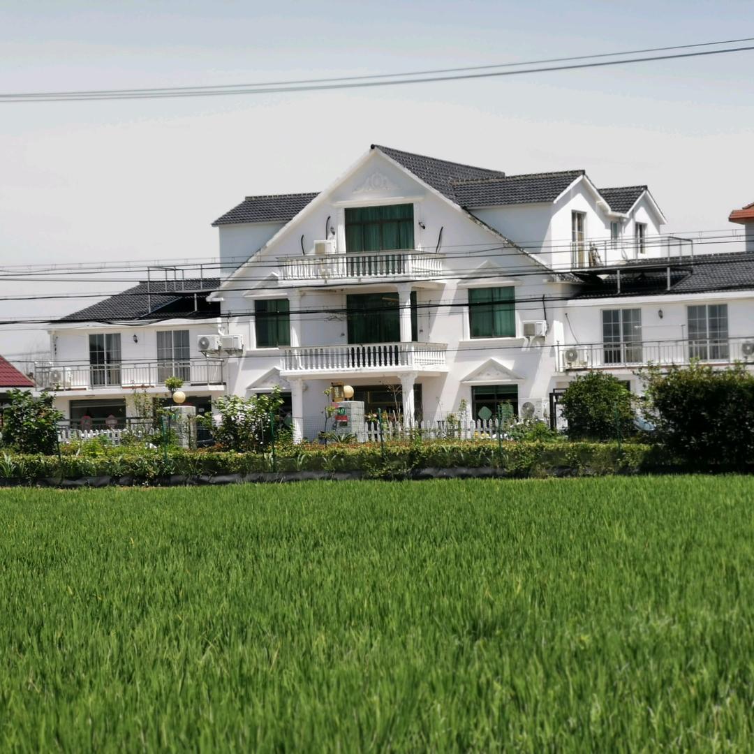 施门种地农家客栈路亚垂钓场