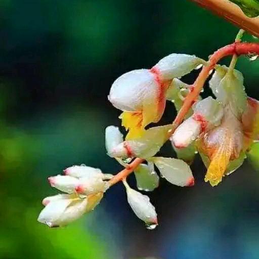 春暖花开