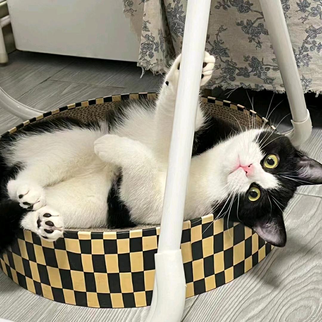 𝙈𝙪𝙖不止可爱✨